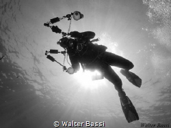 "Illuminated" by Walter Bassi 
